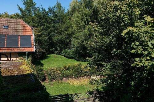 Blick in den Garten.jpg - 