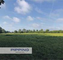 Ideal für Investoren: 