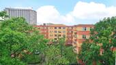 Ausblick vom Wohnzimmerfenster - 2 Zimmer Etagenwohnung in Berlin