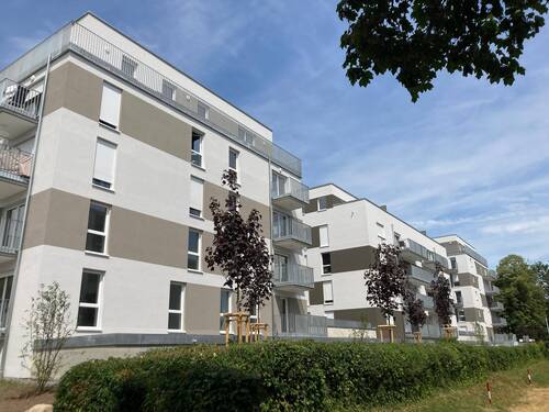 Außenansicht - Wohnen im Dachgeschoss in Heilbronn Böckingen - Dachterrasse