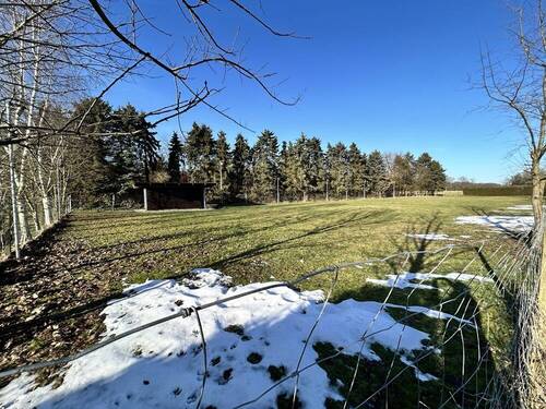 Sicht auf den Hundeplatz - 