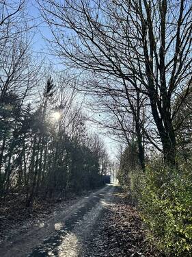 Zuwegung Hof - Mehrfamilienhaus, Wohnhaus mit 355,00 m&sup2; in Borstel / Bockhop zum Kaufen