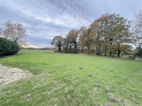 reizvolle Naturumgebung - 