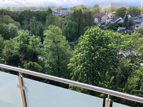 Blick auf Weiher im Frühling - 