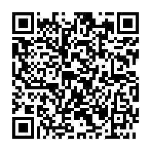 QR-Code - 