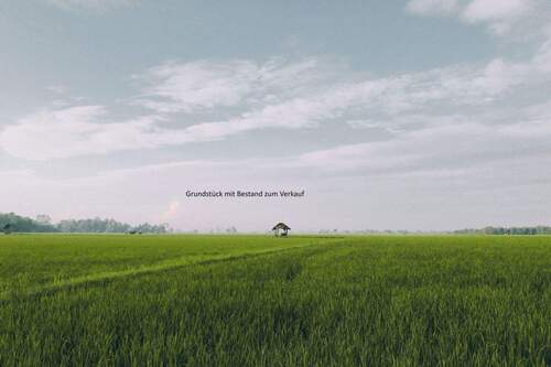 Bild 1 - Baugrundstück in bester ruhiger Lage in Bramfeld für EFH,DH und MFH