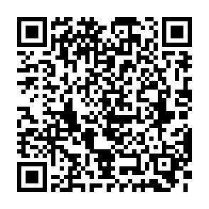 QR-Code - 