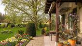Terrasse (optimiert) - 