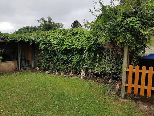 Garten - 4 Zimmer Etagenwohnung zur Miete in Duisburg