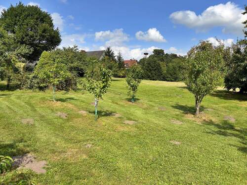Garten mit Obstbäumen - 