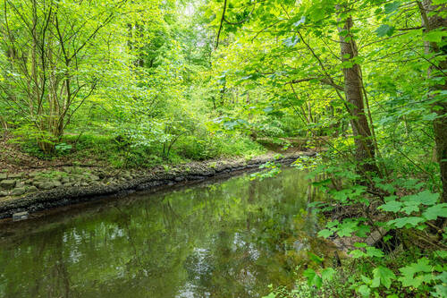 Idyllische Atmosphäre durch angrenzenden Alsterlauf - 