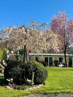 Blick auf Haus aus dem Garten - 