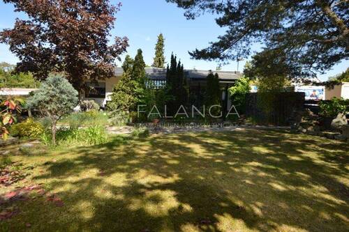 Garten mit Blick auf Haus und Terrasse - 5 Zimmer Bungalow in Mainz / Mombach