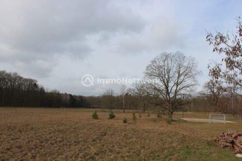 IMG_4505 - Attraktives Baugrundstück in Waldnähe