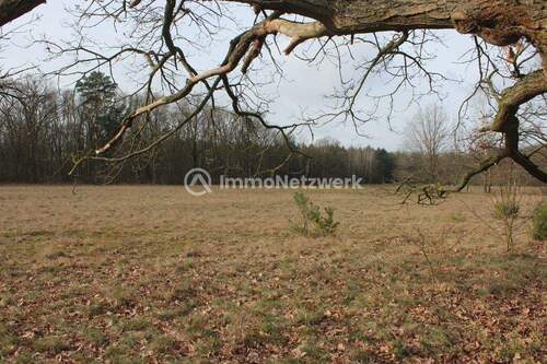 IMG_4486 - Grundstück zum Kaufen in Stendal / Arnim