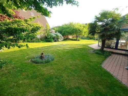 Der Garten im Sommer - 7 Zimmer Einfamilienhaus in Dülmen