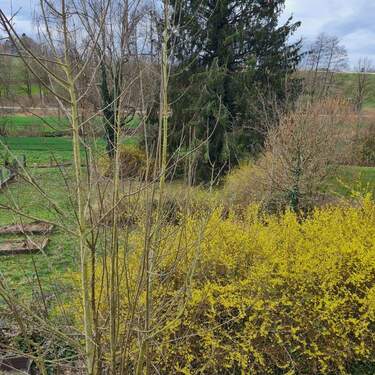 Ansicht von oben - Grundstück zum Kaufen in Neusäß / Hammel