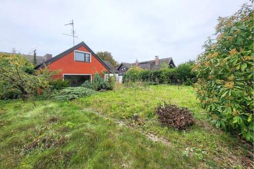 Blick in den großen Garten - 