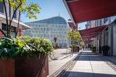 Objektvorbereich - 2 Zimmer Gewerbeobjekt (Büro, Produktion, Verkauf) in Chemnitz