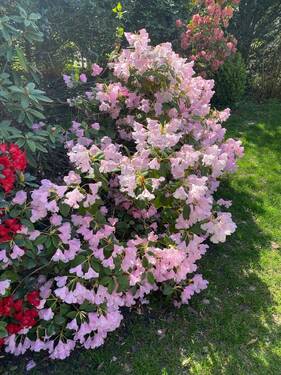 20240603a.jpg - Grundstück zum Kaufen in Buchholz in der Nordheide