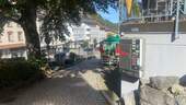 IMG_7169.JPEG - 