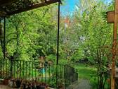Blick von der Terrasse in den Garten - 
