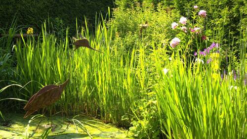 Gartenteich - 