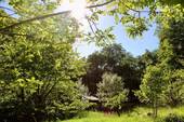 Garten - 