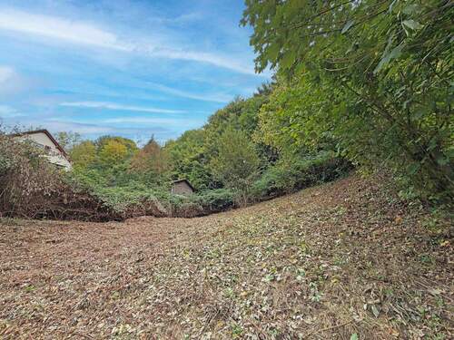 Grundstück - Grundstück in Schönau