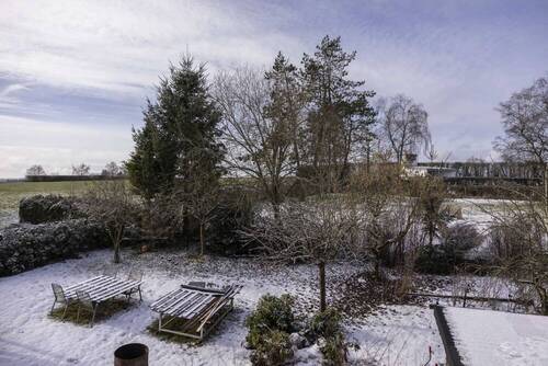 Garten hinter dem Haus - 