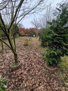 Bild 1 - Baugrundstück in HH- Billstedt 600 m² mit Altbestand