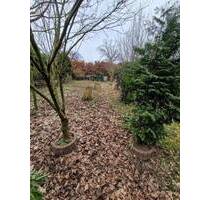 Baugrundstück in HH- Billstedt 600 m² mit Altbestand - Hamburg