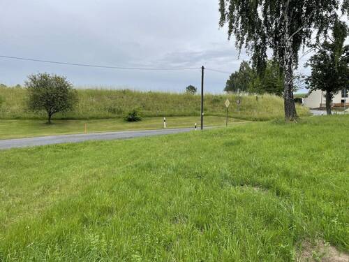 vorderer Bereich - 