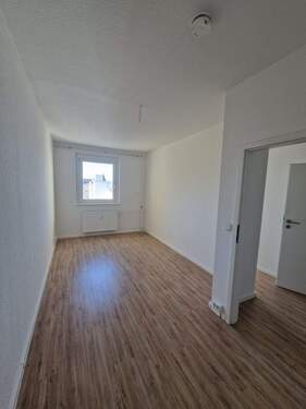 Zimmer3 - 