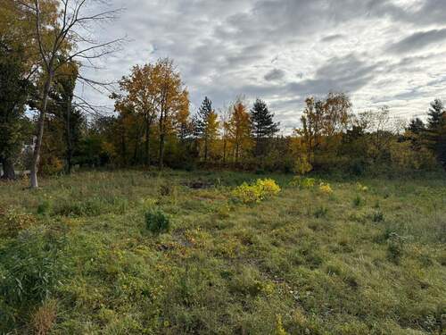 Bild 1 - Baugrundstück in Weinböhla ++ Ruhige Höhenlage - gemächlich an den Weinbergen
