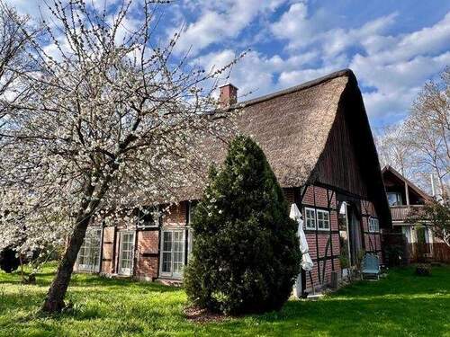 hintere Gartenseite - 