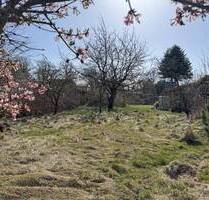 Baugrundstück in ruhiger Wohnlage - Wustrow