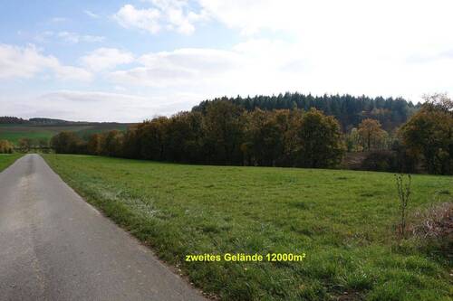 2tes Grundstück - Bauernhaus, Landhaus mit 180,00 m² in Buchen zum Kaufen