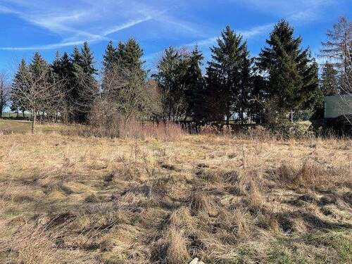 IMG_4178.jpg - Grundstück zum Kaufen in Klipphausen