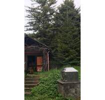 Freizeitgrundstück mit eigener Quelle und genehmigter Hütte - Boxberg Wölchingen