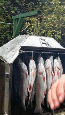 IMG_20231003_113722_842.jpg - Grundstück in Boxberg