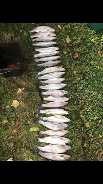 IMG_20231003_113722_354.jpg - 