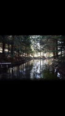 IMG_20231003_113722_065.jpg - 