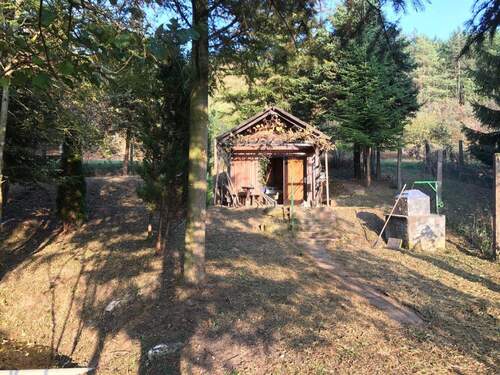 IMG_20231005_193538_021.jpg - 