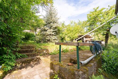 Zugang Garten - 