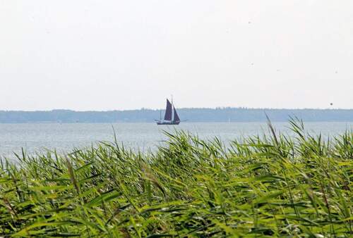 Segelboot vor Born - 