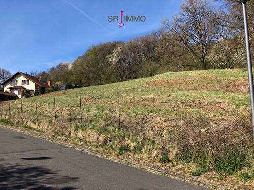 Bild 1 - Tolles Grundstück in bester Lage in Bollendorf - direkt an der Grenze zu Luxemburg