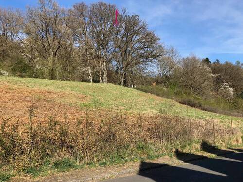 Bild 3 - Grundstück in Bollendorf