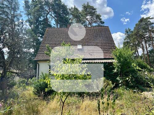 Titel - Interessante Immobilie mit mehreren Möglichkeiten...EFH mit großem Grund in ER-Dechsendorf