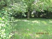 IMG_1411.JPG - 